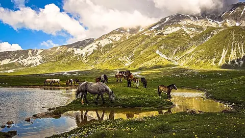 Horses grazing at Campo Imperatore