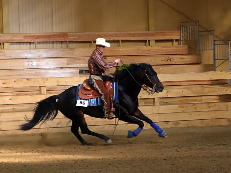 Un cavaliere di reining durante una gara